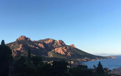 Appartement 1 Chambre