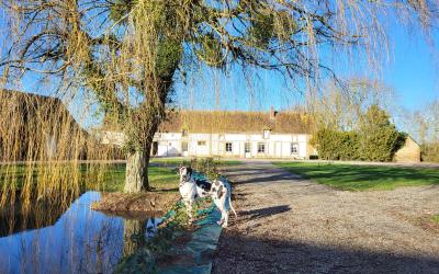 Chambre Double avec Salle de Bains Privative Chambre Double avec Salle de Bains Privative