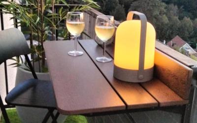 Appartement 1 Chambre