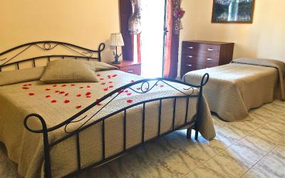 Camera King Standard