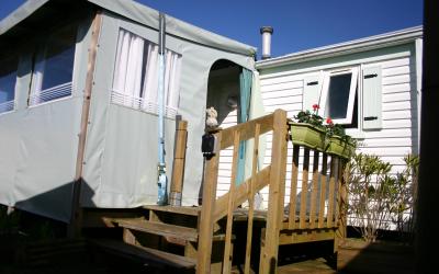 Mobile Home