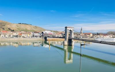 Appartement 1 Chambre