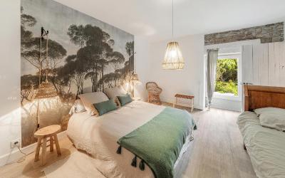 Appartement 1 Chambre