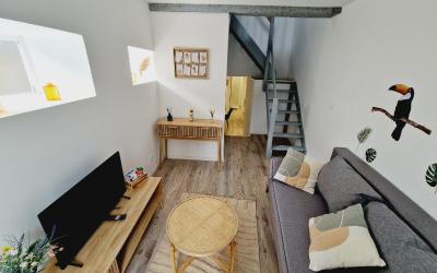 Appartement 1 Chambre