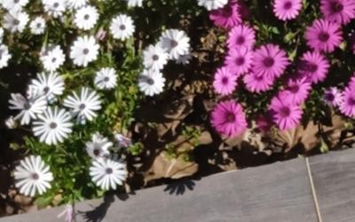 Maison 3u00a0Chambres