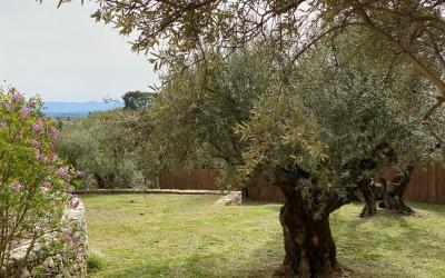 Chambre Double - Vue sur Jardin Chambre Double - Vue sur Jardin