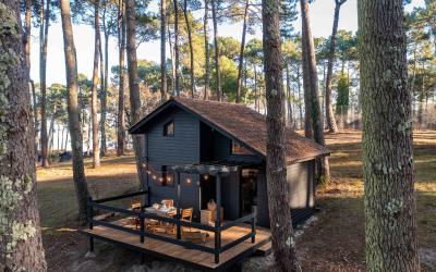 Two-Bedroom Cabin - Pine Forest Side