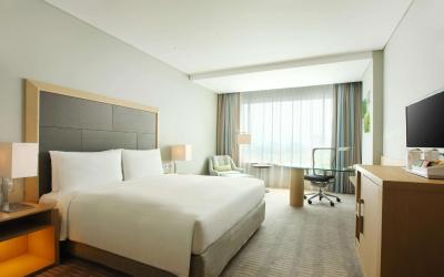 Kamar King - Akses Khusus untuk Tamu dengan Masalah Mobilitas Kamar King - Akses Khusus untuk Tamu dengan Masalah Mobilitas