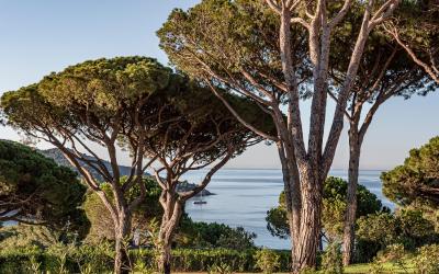 Suite Deluxe - Vue sur Mer Suite Deluxe - Vue sur Mer