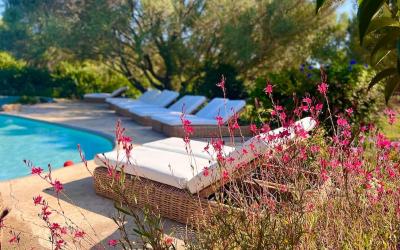 Appartement 3u00a0Chambres