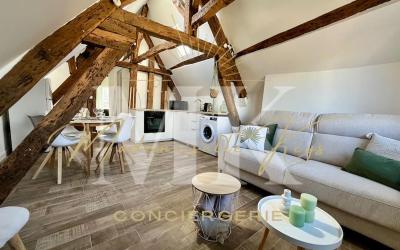 Appartement 1 Chambre