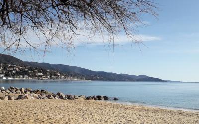 Appartement - Vue sur Jardin