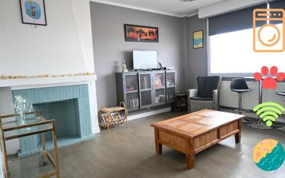 Appartement 1 Chambre