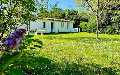 Appartement 1 Chambre