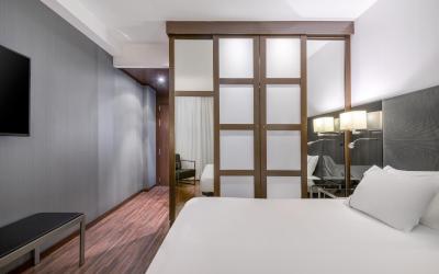 Camera Standard con 1 Letto King-Size