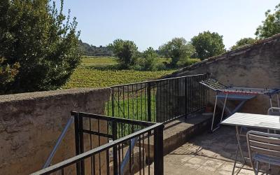 Appartement 1 Chambre