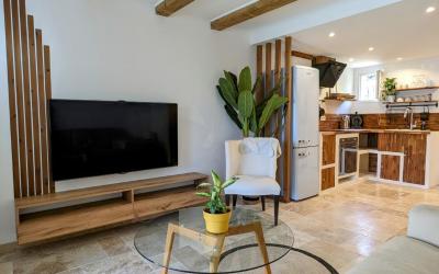 Appartement 1 Chambre