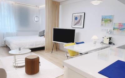 Appartement 1 Chambre