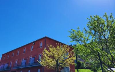 Chambre Simple Standardu00a0-u00a0(animaux interdits)