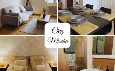 Appartement 1 Chambre Appartement 1 Chambre