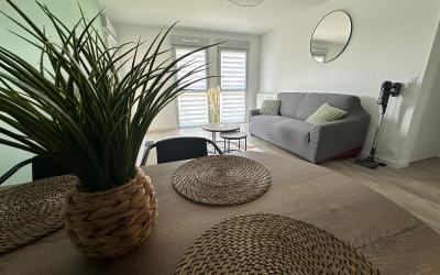 Appartement 1 Chambre