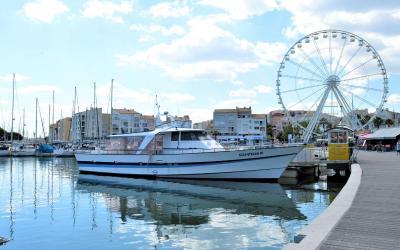 Appartement (4 Adultes)