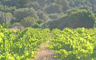 Maison 2u00a0Chambres