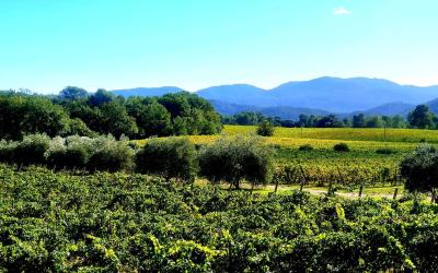 Maison 3u00a0Chambres