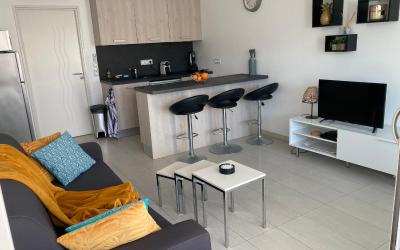 Appartement 1 Chambre