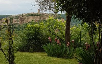 Casa Vacanze