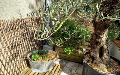 Appartement - Vue sur Jardin Appartement - Vue sur Jardin