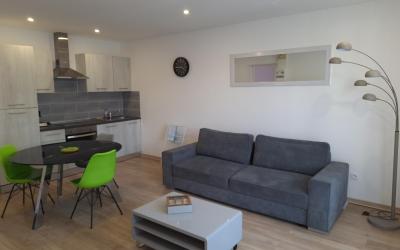 Appartement 1 Chambre