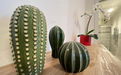 Appartamento Deluxe con 1 Camera da Letto