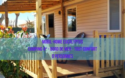 Mobile Home Mobile Home