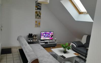 Appartement 1 Chambre