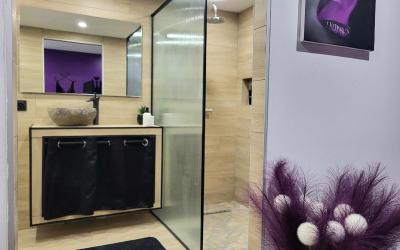 Appartement 1 Chambre