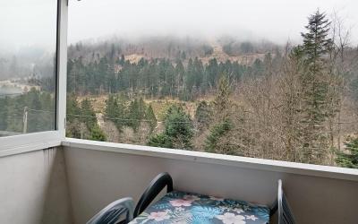 Appartement 1 Chambre Appartement 1 Chambre