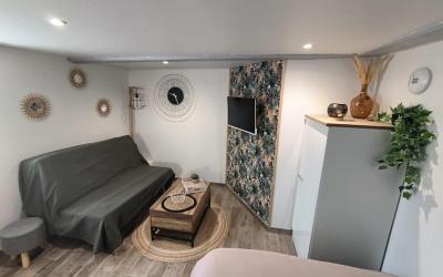 Appartement 1 Chambre