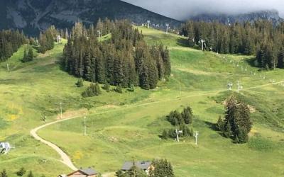 Appartement 1 Chambre Appartement 1 Chambre