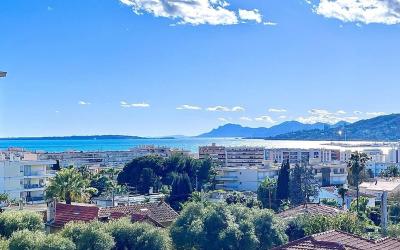 Appartement 1 Chambre Appartement 1 Chambre