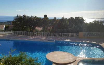 Appartement 1 Chambre