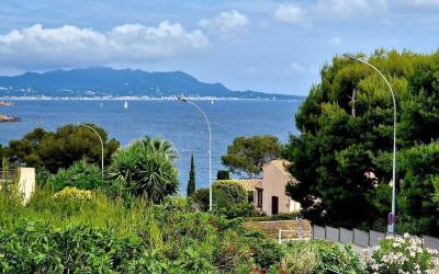 Appartement 1 Chambre