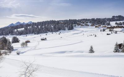 Appartement 3u00a0Chambres