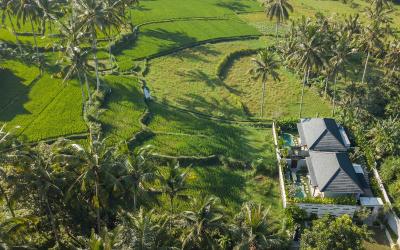 Vila dengan Kolam Renang Pribadi