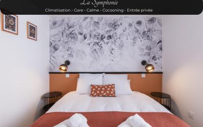 Appartement 1 Chambre
