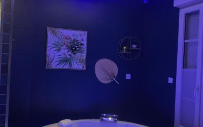 Appartement 1 Chambre