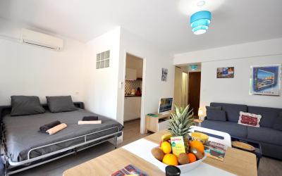 Appartement 1 Chambre