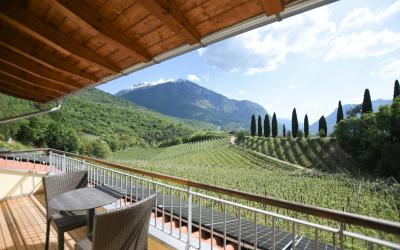 Junior Suite con Balcone e Vista Vigneto