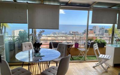 Appartement 1 Chambre