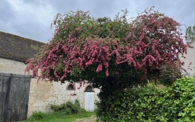 Villa 3u00a0Chambres Villa 3u00a0Chambres